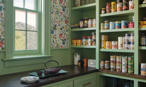 Southern Grandeur - Vintage-Inspired Green Pantry – Castle Homes
