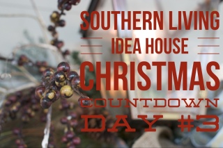Southern Living Idea House, Castle Homes, Nashville, TN