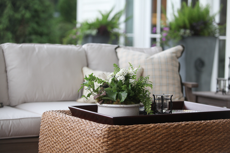 4 Easy Ways to Green Up Your Living Spaces