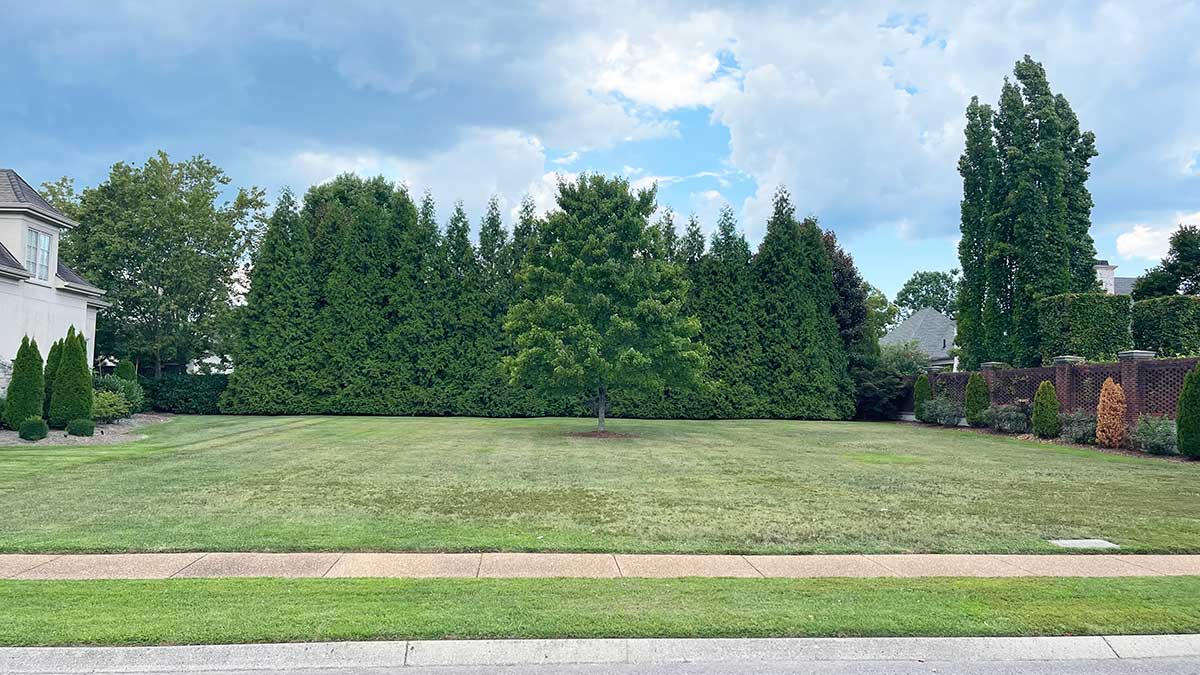 middleton lot