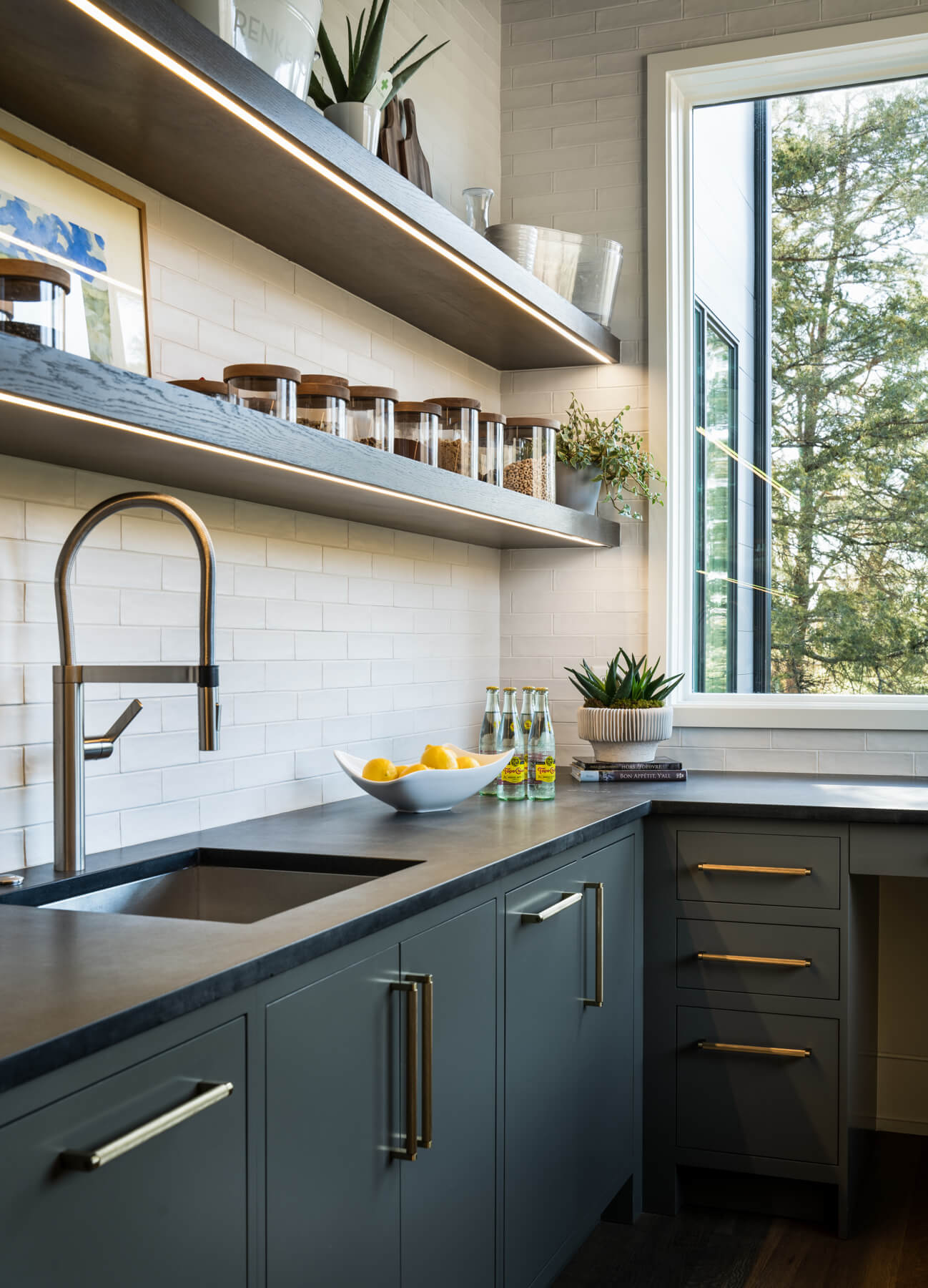 Pantry sink & shelving in contemporary kitchen